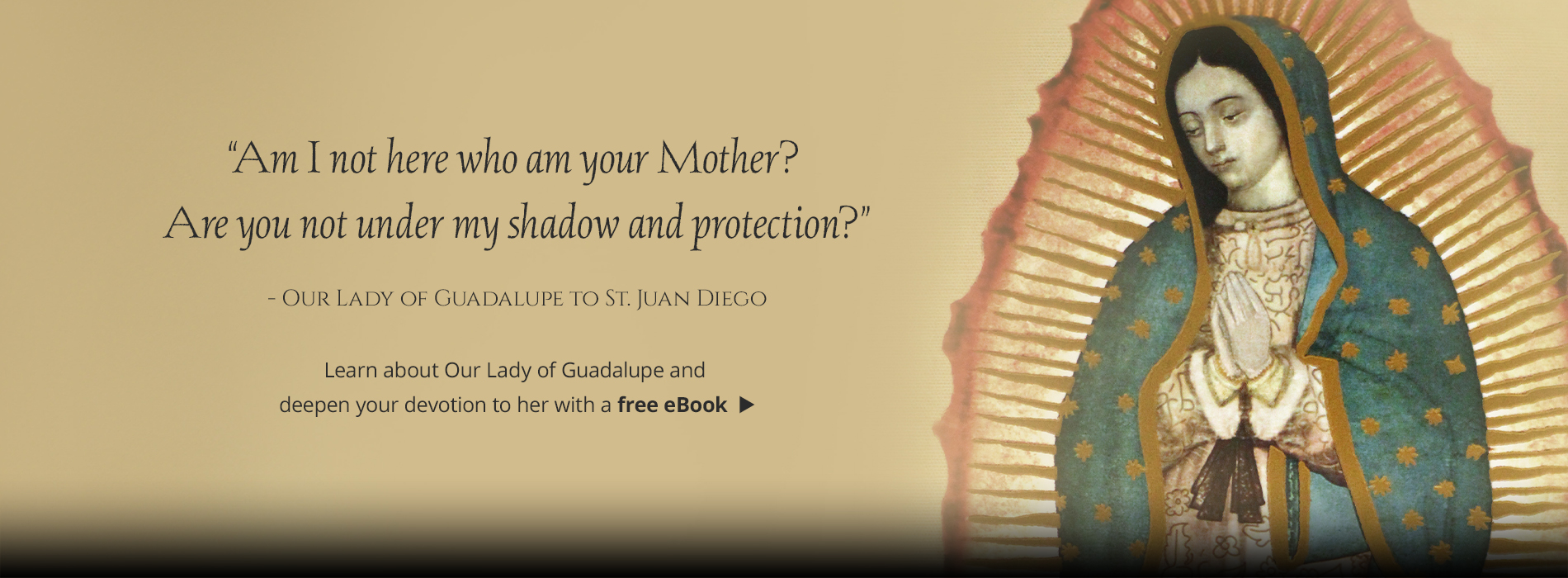 sfd-guadalupe.jpg